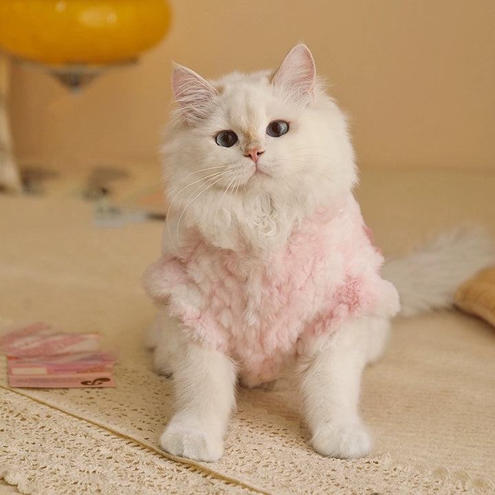 Winter Warmth Thickened Cozy Cat Sweater