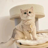 Cute Lamb Wool Vest for Cats and Small Dogs