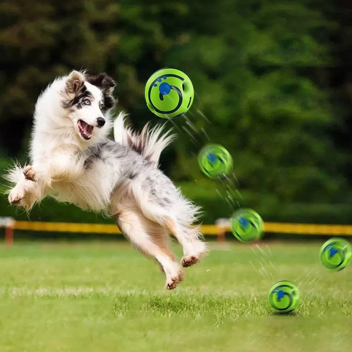 Giggle Ball Dog Toy – Glowing, Sound-Activated Interactive Play Ball