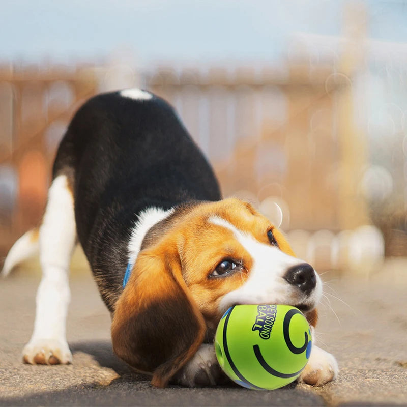 Giggle Ball Dog Toy – Glowing, Sound-Activated Interactive Play Ball