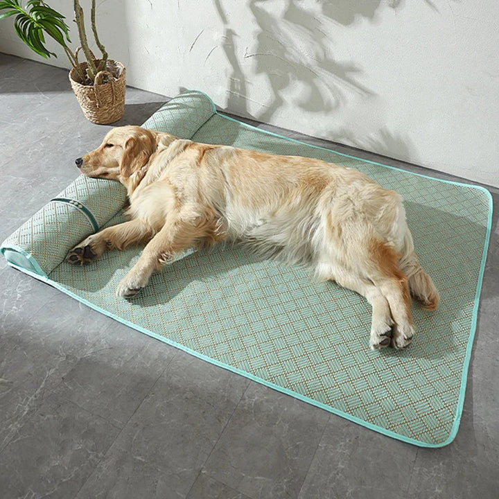 Summer Dog Bed with Pillow Cooling Sofa