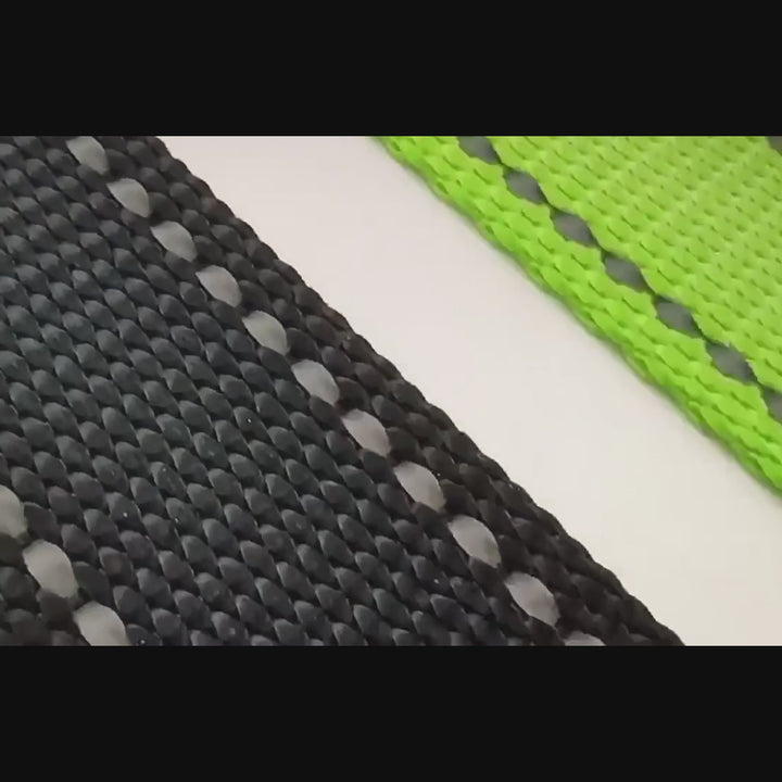 Reflective Nylon Dog Leash