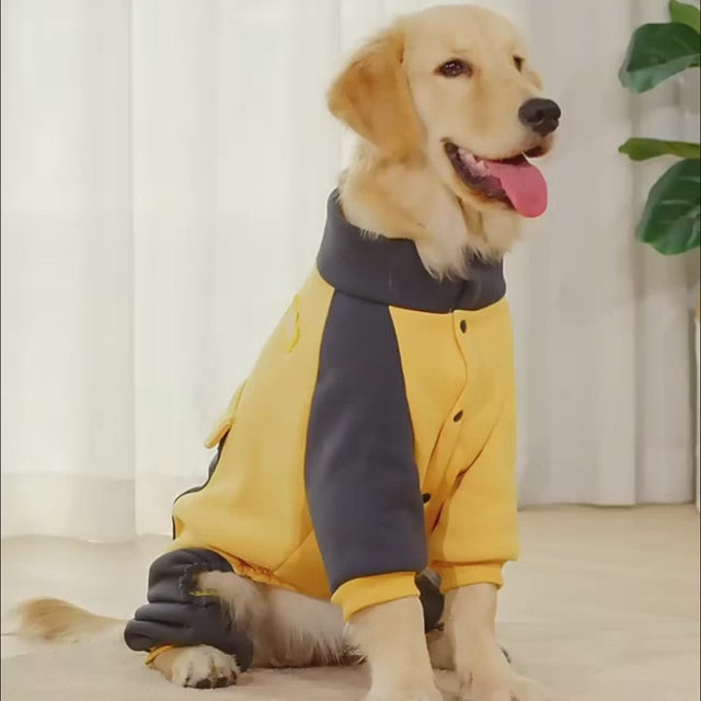 Four-legged large dog sports jacket