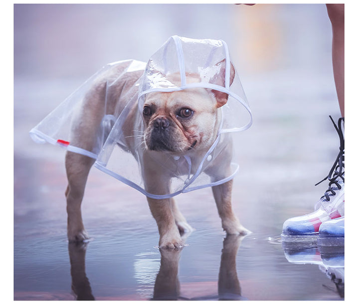 寵物雨衣 狗狗雨衣 寵物衣服 透明雨衣衣服