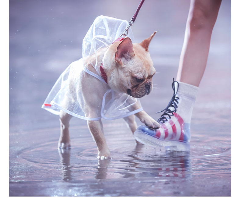 Pet Raincoat Dog Raincoat Pet Clothes Transparent Raincoat Clothes