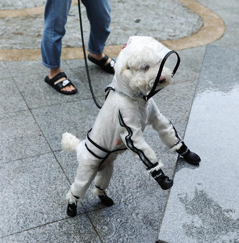 寵物雨衣四腳連帽透明防水防雨衣服