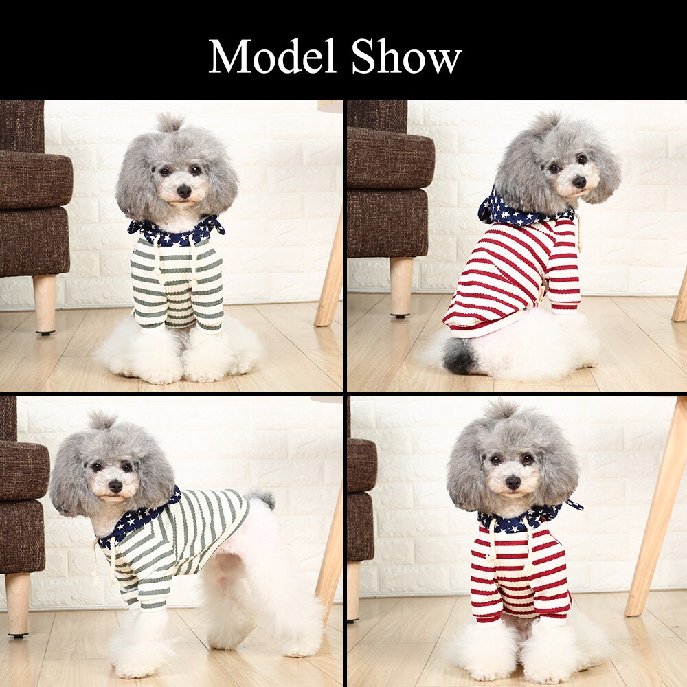 Pet Dog Clothes Teddy Two Feet Clothing Sweater Spring and Autumn Cat T-shirt