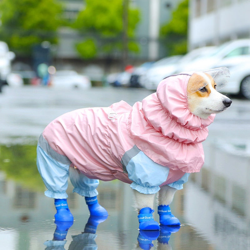 寵物貓狗雨衣連帽衣服防水防雨連身褲