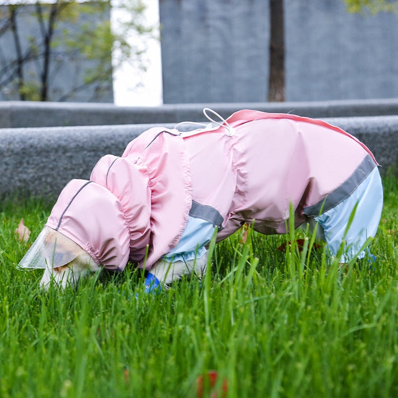 寵物貓狗雨衣連帽衣服防水防雨連身褲