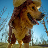 Pet Big Dogs Autumn and Winter Warm Clothes Bear Costume Two Feet