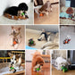 Dogs Plush Squeak Interactive Toy