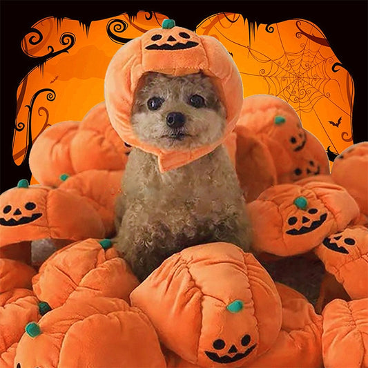 Pet Halloween Pumpkin Hats