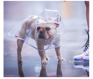 Pet Raincoat Dog Raincoat Pet Clothes Transparent Raincoat Clothes