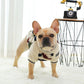 Dog Hoodie Winter Pet Dog Clothes For Dogs Coat Jacket Puppy Cotton Clothing For Dogs Pets Outfit Costume Chihuahua