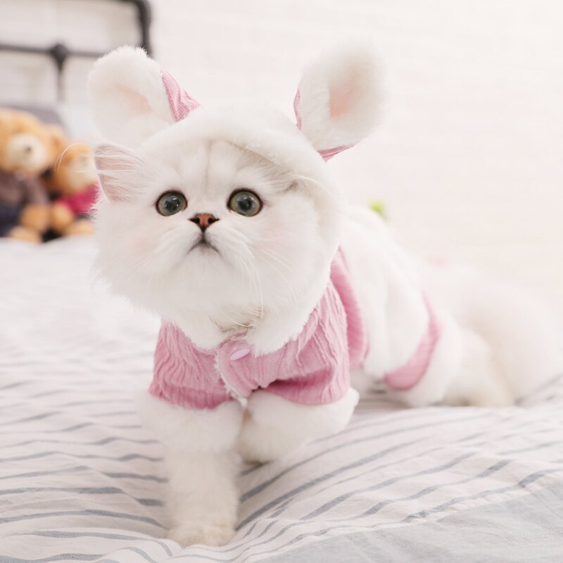 Warm Cat Clothes Winter  Coat Jacket For Cats Chihuahua Clothing Costume