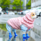 Pet Cat Dog Raincoat Hooded Clothes Waterproof Rain Jumpsuit