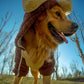 Pet Big Dogs Autumn and Winter Warm Clothes Bear Costume Two Feet