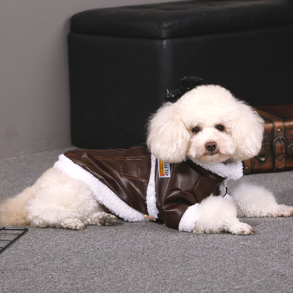 Pet Dog Clothes Winter Warm Pet Dog Jacket Coat Puppy Chihuahua Clothing Hoodies