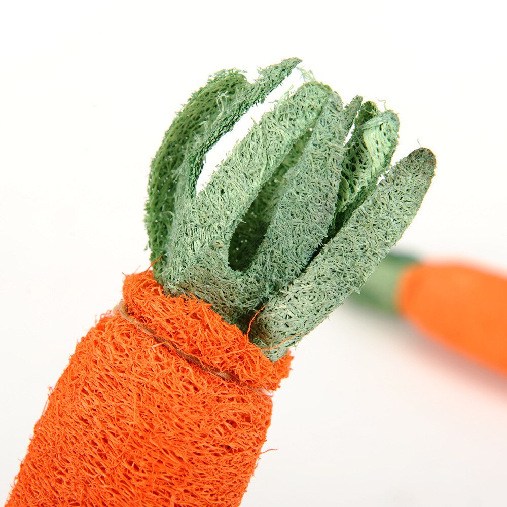Pet Toy Carrot Shaped Loofah Sponge Dog Cat Chew Toy