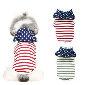 Pet Dog Clothes Teddy Two Feet Clothing Sweater Spring and Autumn Cat T-shirt