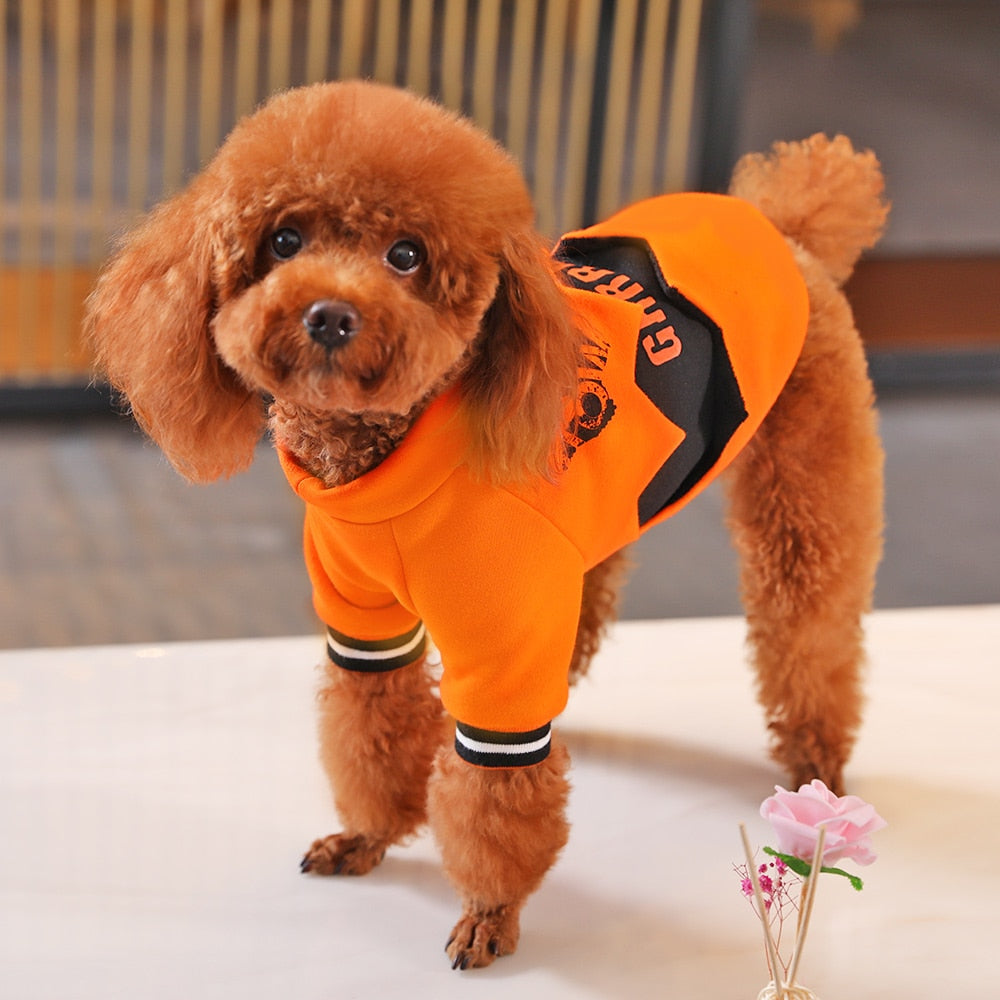 Pet Clothes for Dogs Puppy Clothing Winter Coat Costumes Jacket